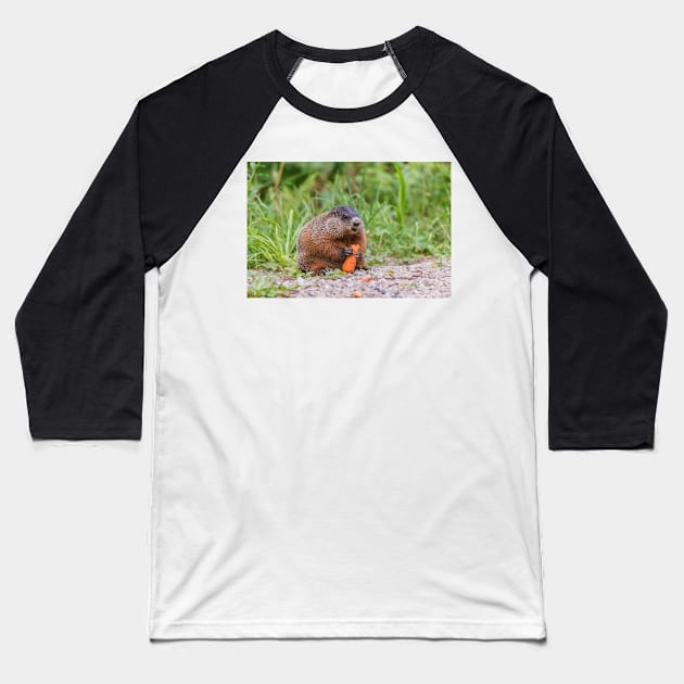 The Beaver and the carrot Baseball T-Shirt by josefpittner